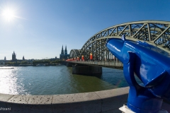 Kölnpanoramafernrohr