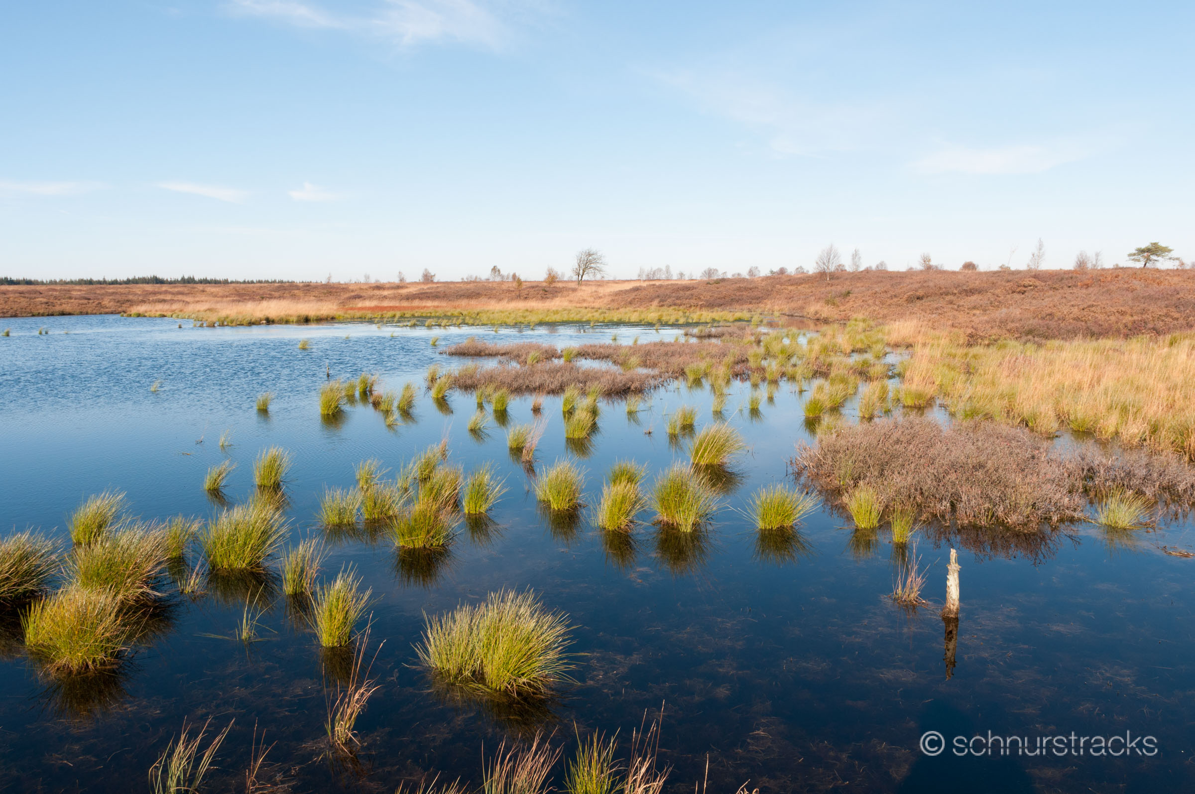 hohes venn belgien moorsee DSC 6096 111023 foto chris witzani