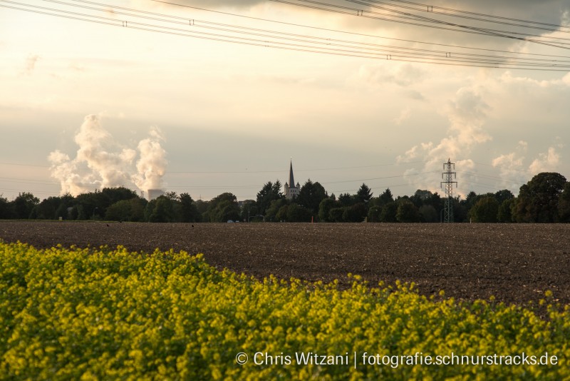 Freileitung bei Brauweiler