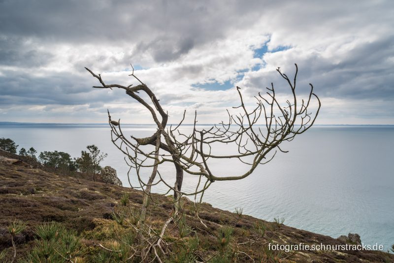 Bretagne_Finistere_Chris_Witzani_WIT_3055