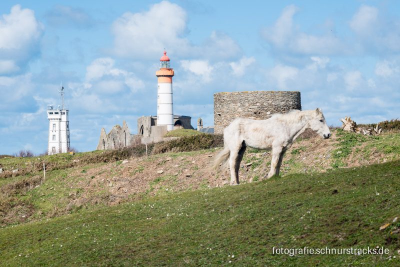 Saint-Mathieu – Finistère #5651