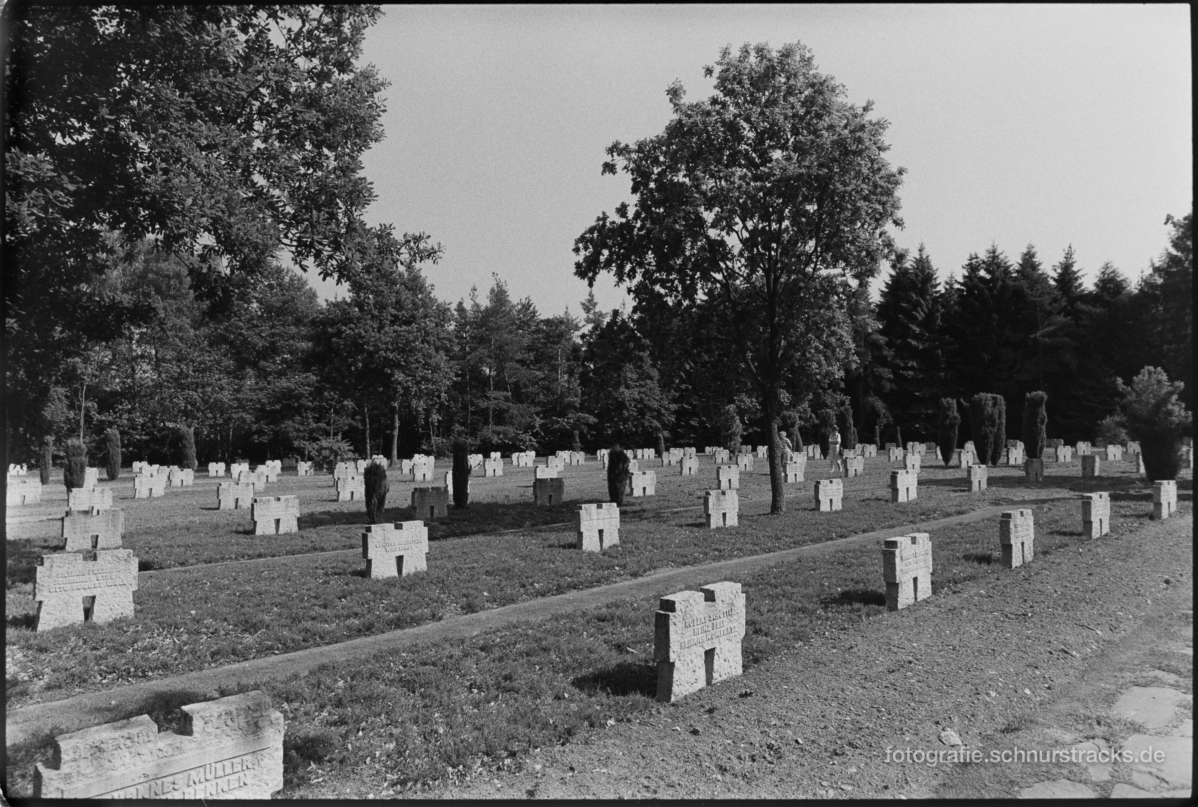 Kameradenkreuze auf dem Soladenfriedhof