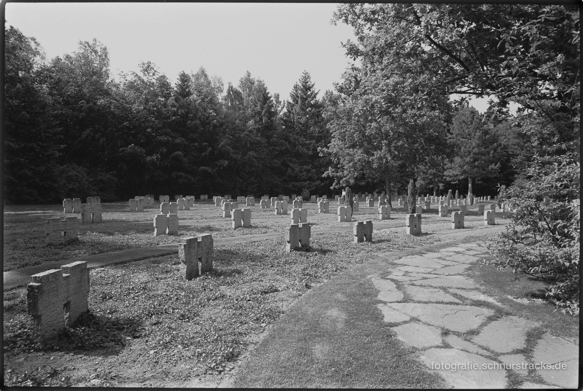 Kameradenkreuze auf dem Soladenfriedhof