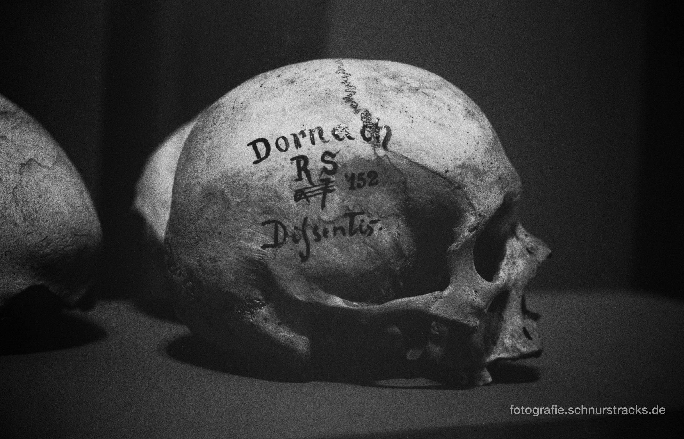 Totenschädel von Dornac