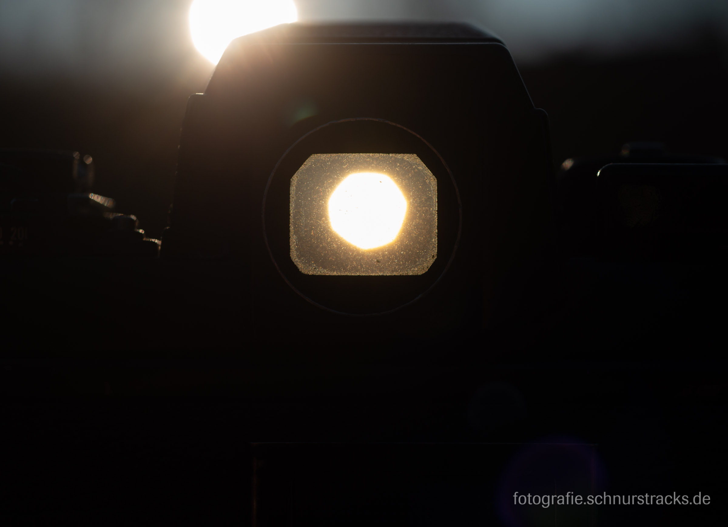Blick durch den Sucher Nikon F3 HP in die Abendsonne