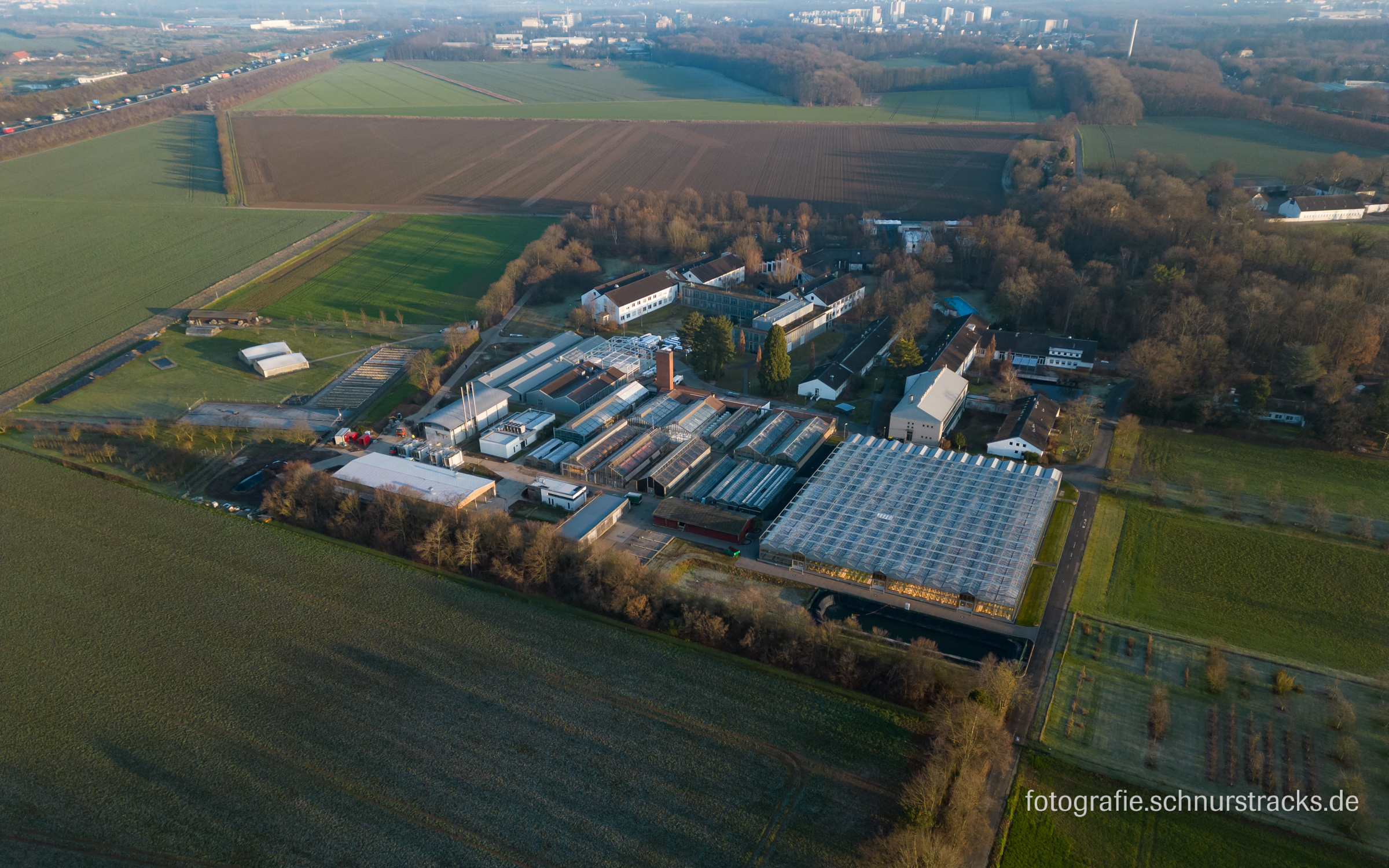 Luftbild Max-Planck-Institut für Pflanzenzüchtungsforschung in Köln