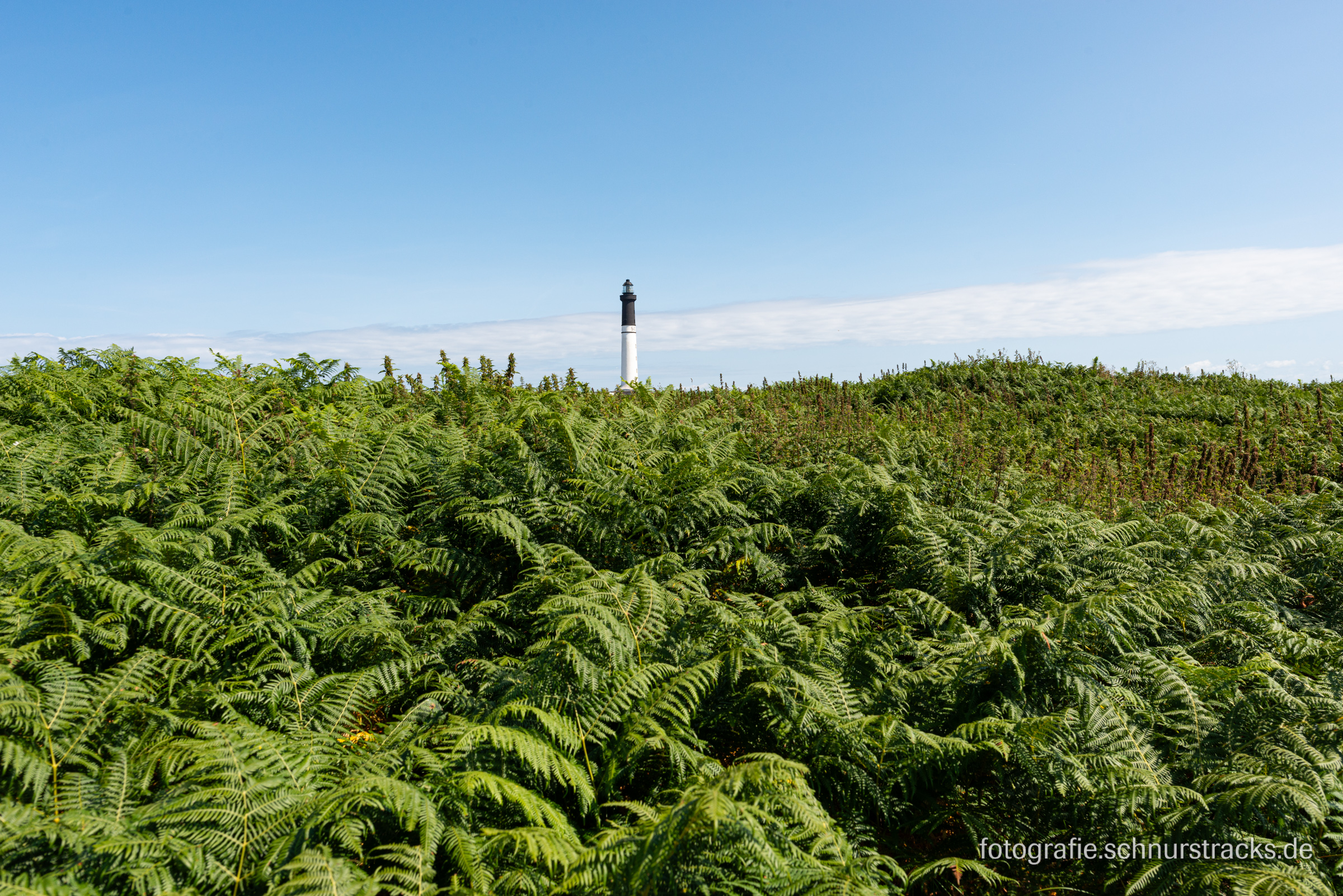 Grand phare de l'île de Sein #230706-5808